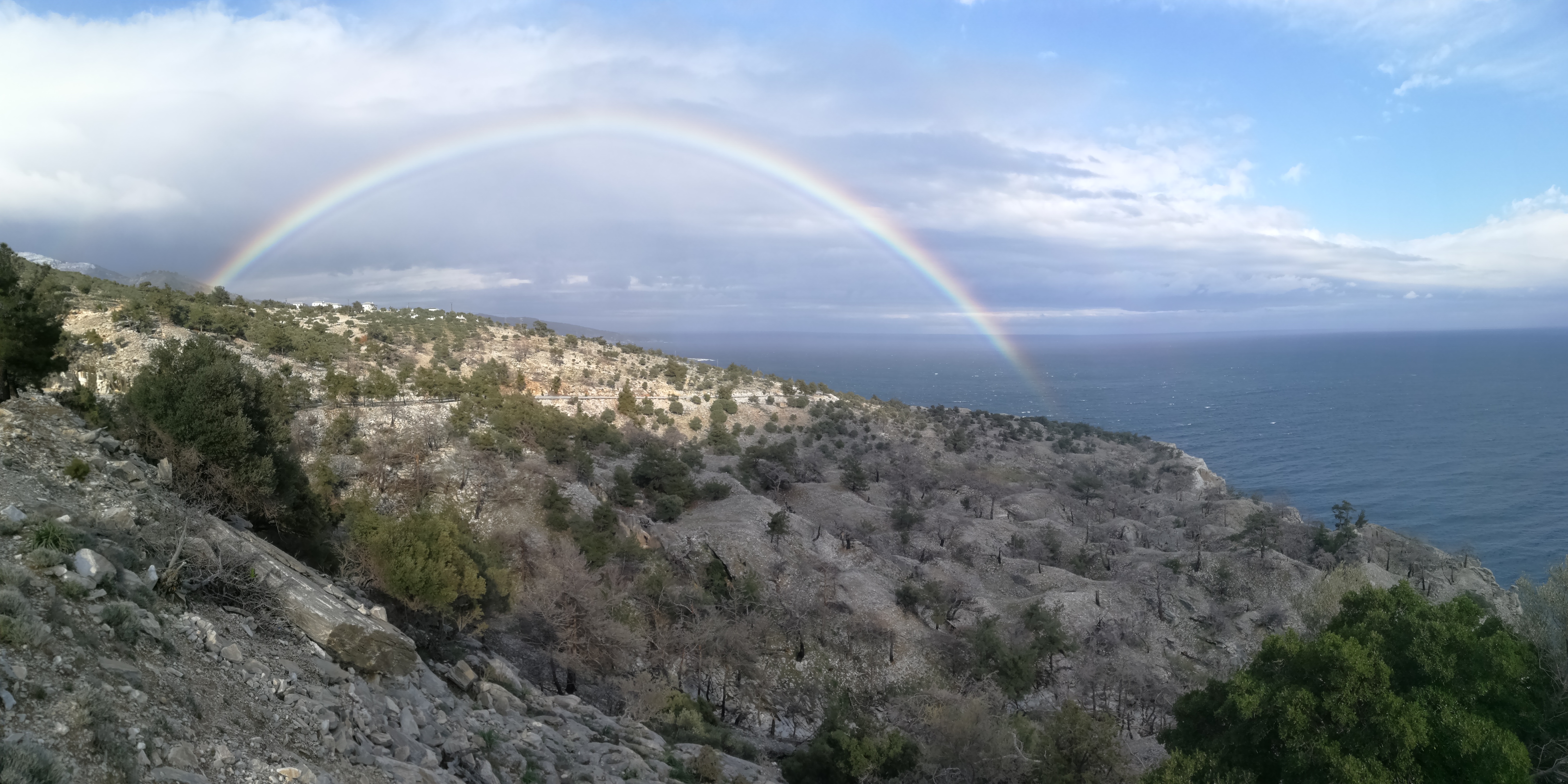 Θυμωνιά