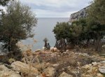 Αρσανάς - Λιβάδι - Αμπάς